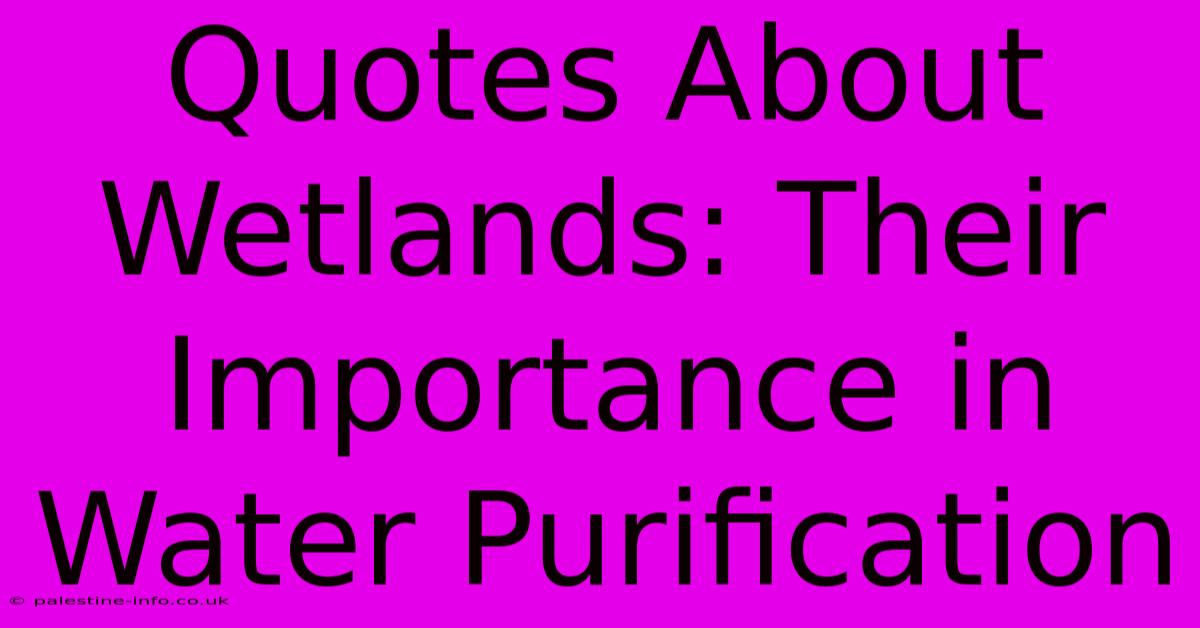 Quotes About Wetlands: Their Importance In Water Purification