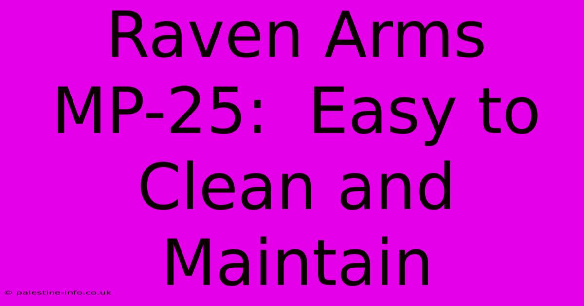 Raven Arms MP-25:  Easy To Clean And Maintain