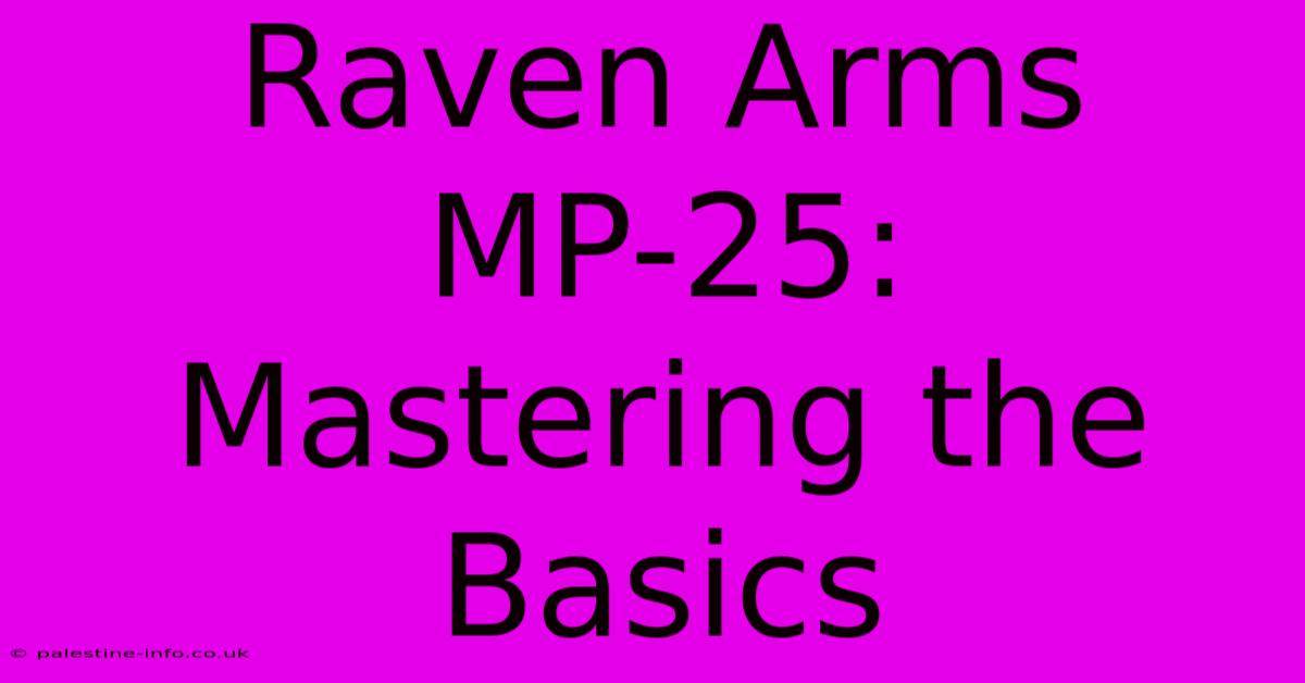 Raven Arms MP-25:  Mastering The Basics