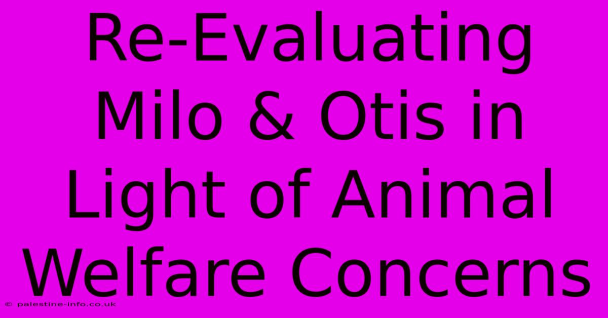 Re-Evaluating Milo & Otis In Light Of Animal Welfare Concerns