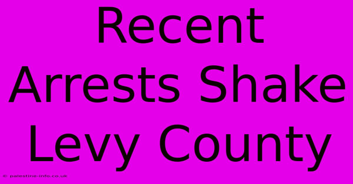 Recent Arrests Shake Levy County