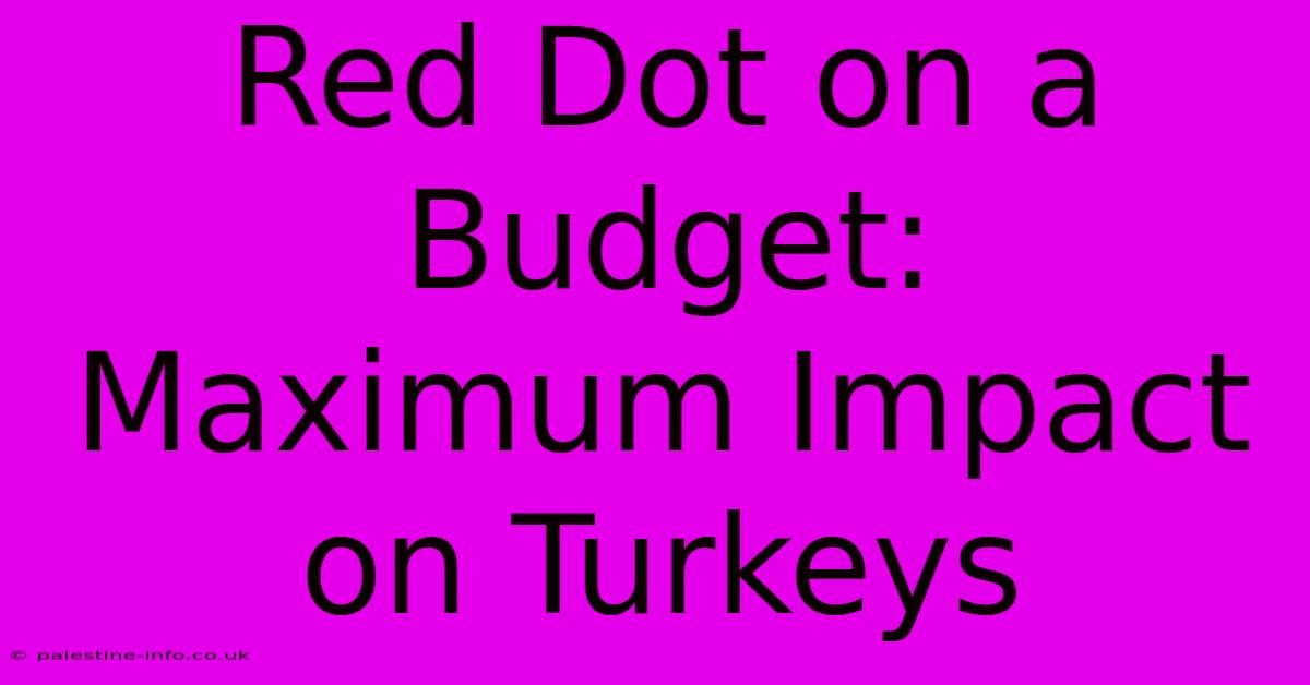 Red Dot On A Budget:  Maximum Impact On Turkeys