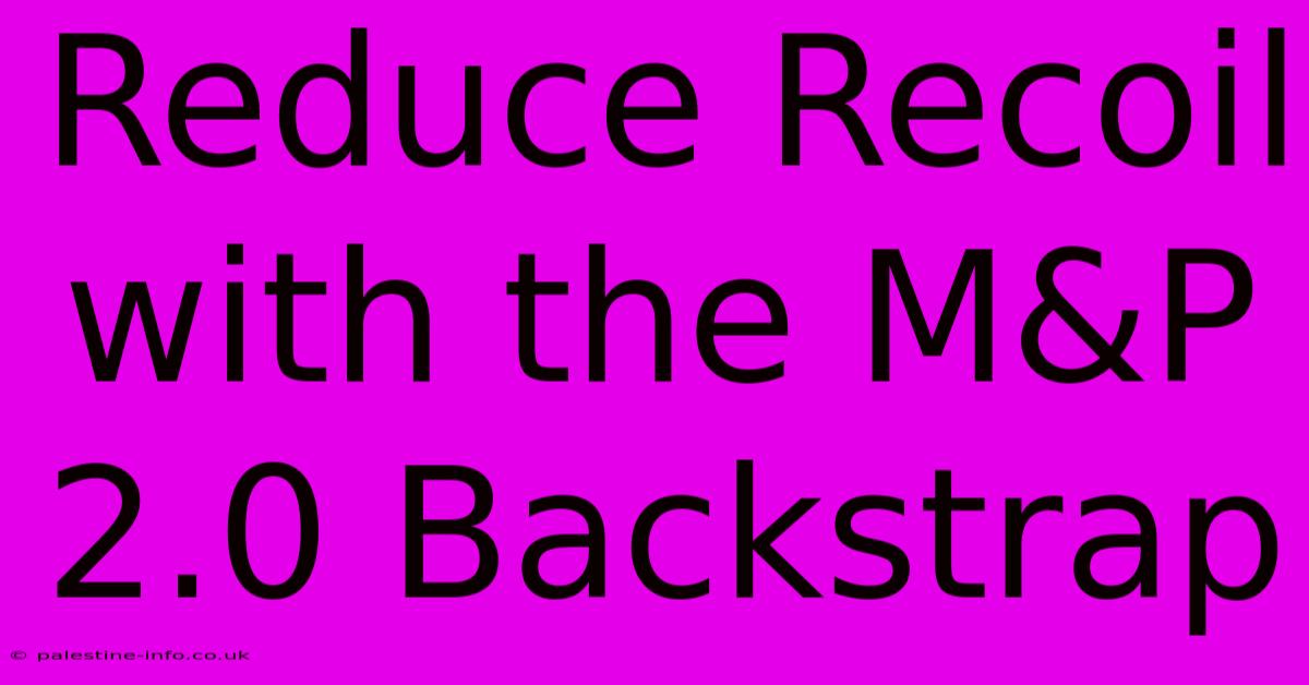 Reduce Recoil With The M&P 2.0 Backstrap