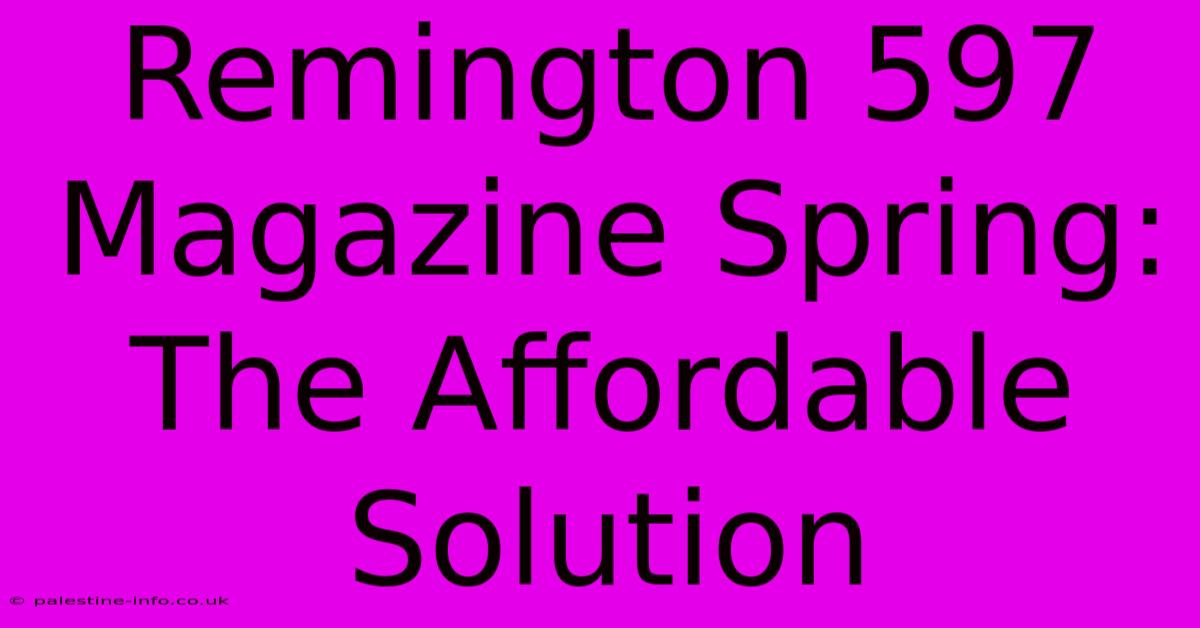 Remington 597 Magazine Spring: The Affordable Solution