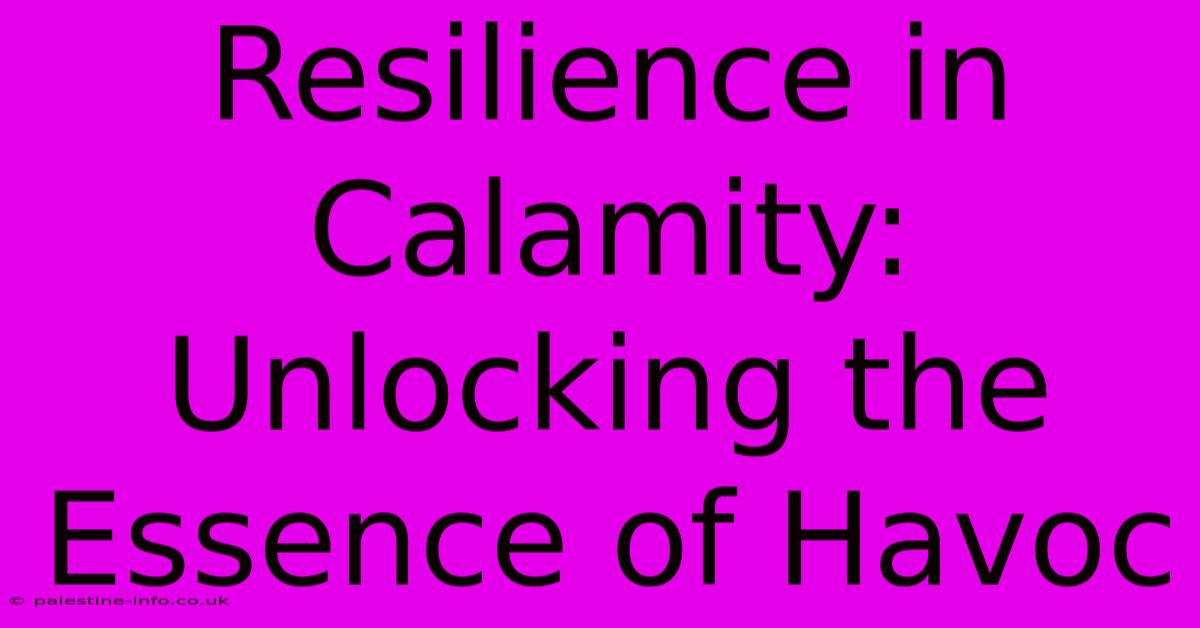 Resilience In Calamity: Unlocking The Essence Of Havoc