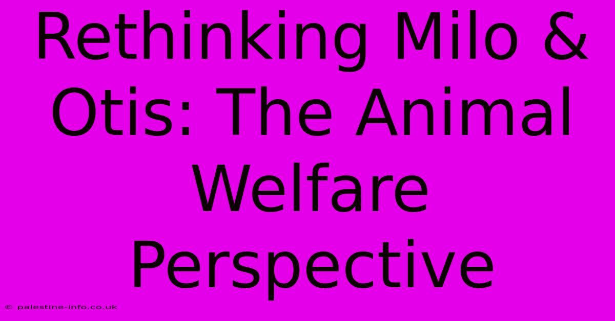 Rethinking Milo & Otis: The Animal Welfare Perspective