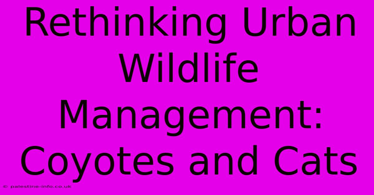 Rethinking Urban Wildlife Management: Coyotes And Cats