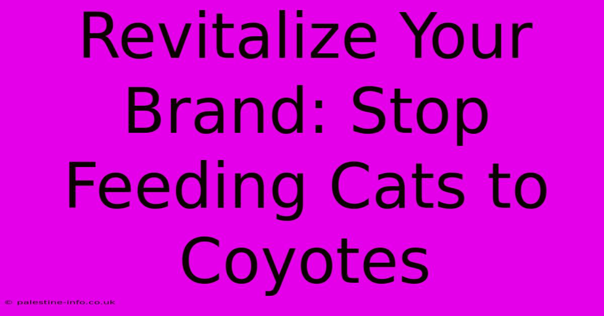 Revitalize Your Brand: Stop Feeding Cats To Coyotes