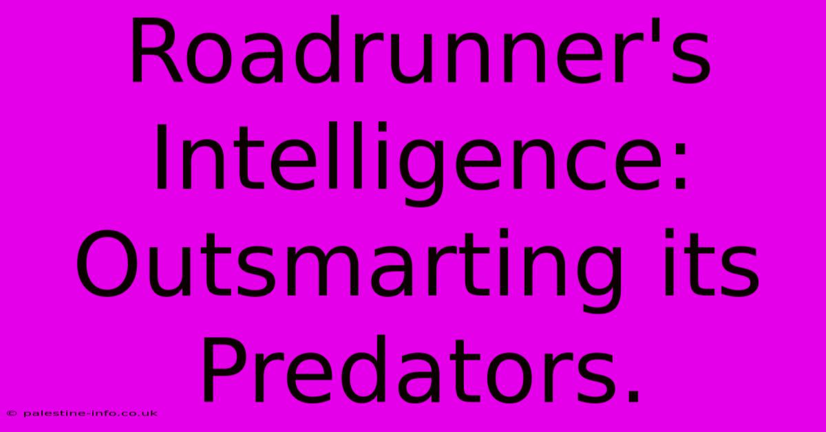 Roadrunner's Intelligence: Outsmarting Its Predators.