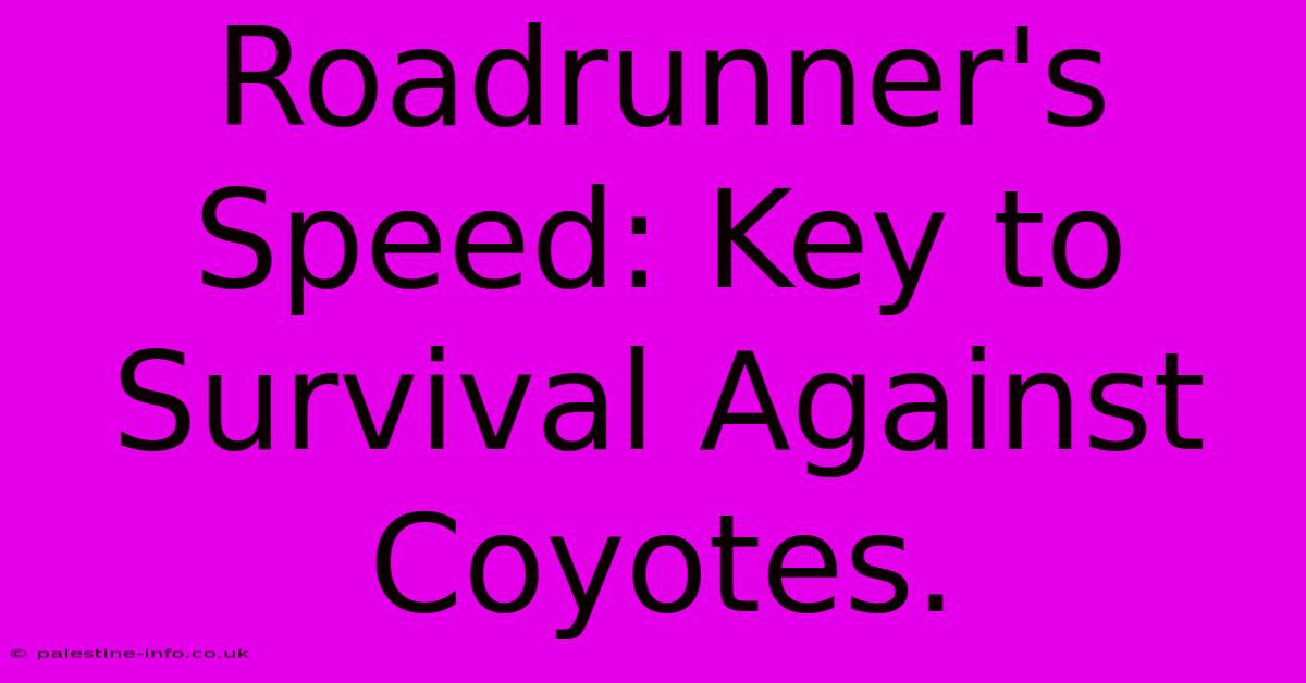 Roadrunner's Speed: Key To Survival Against Coyotes.