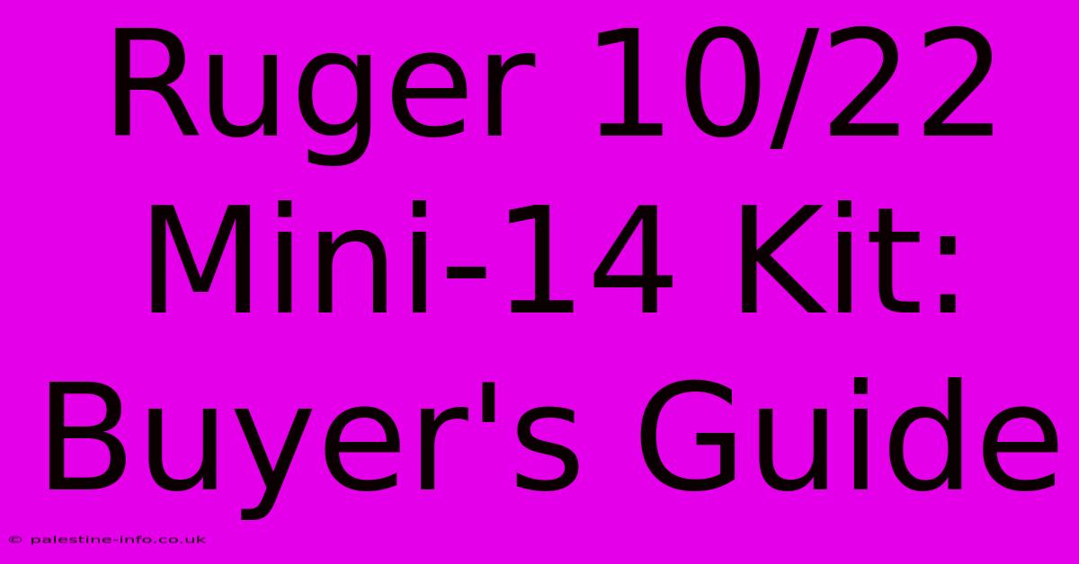 Ruger 10/22 Mini-14 Kit: Buyer's Guide