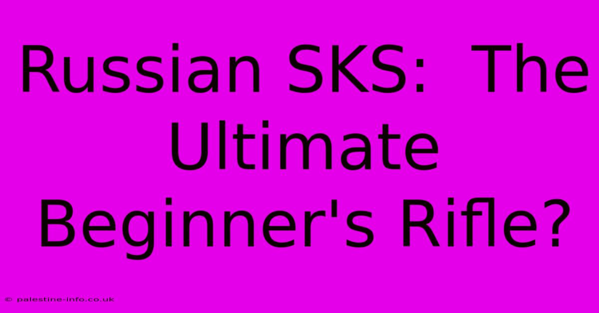 Russian SKS:  The Ultimate Beginner's Rifle?