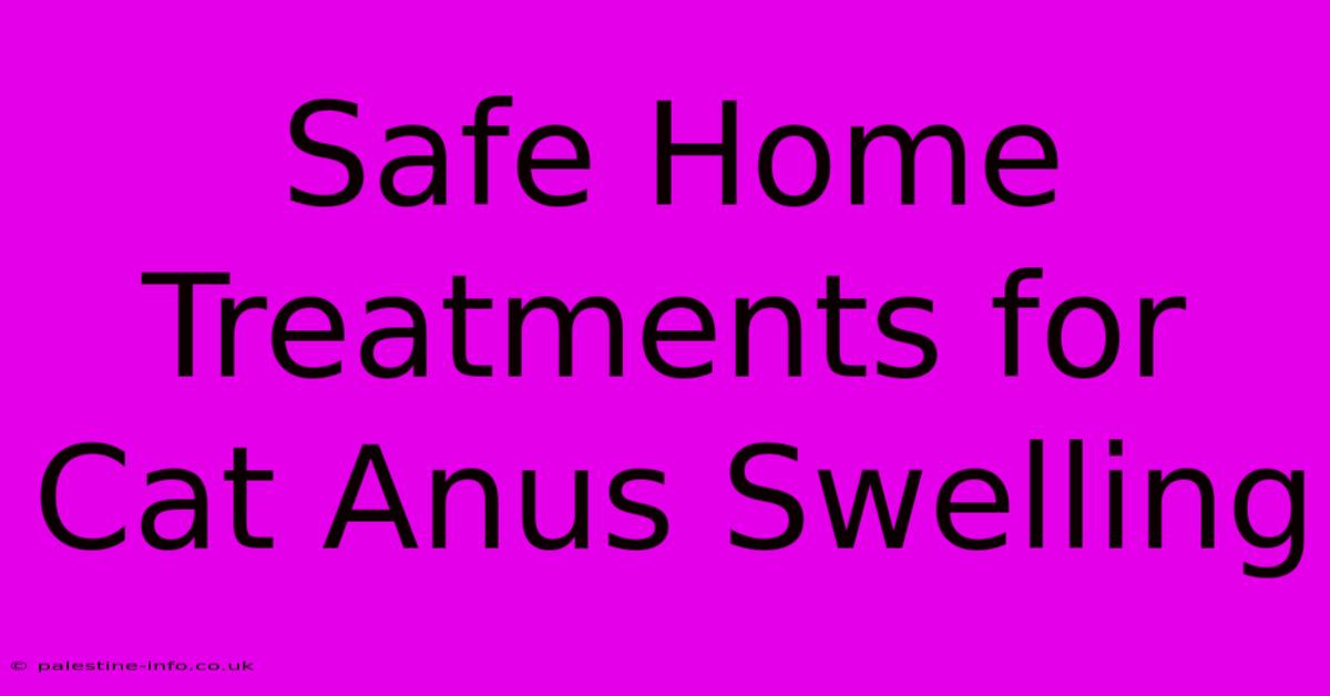 Safe Home Treatments For Cat Anus Swelling