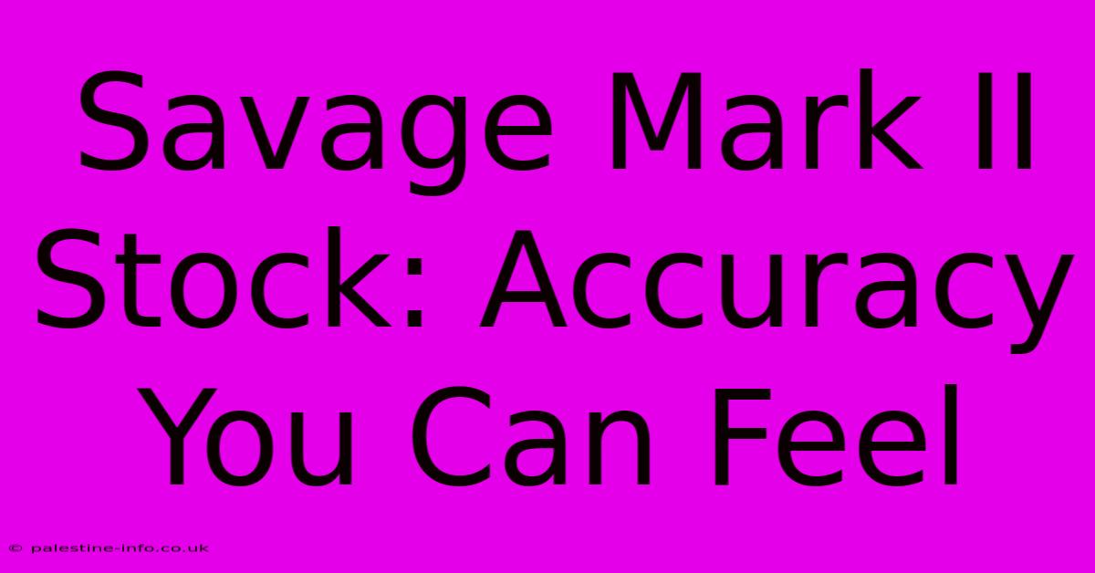 Savage Mark II Stock: Accuracy You Can Feel