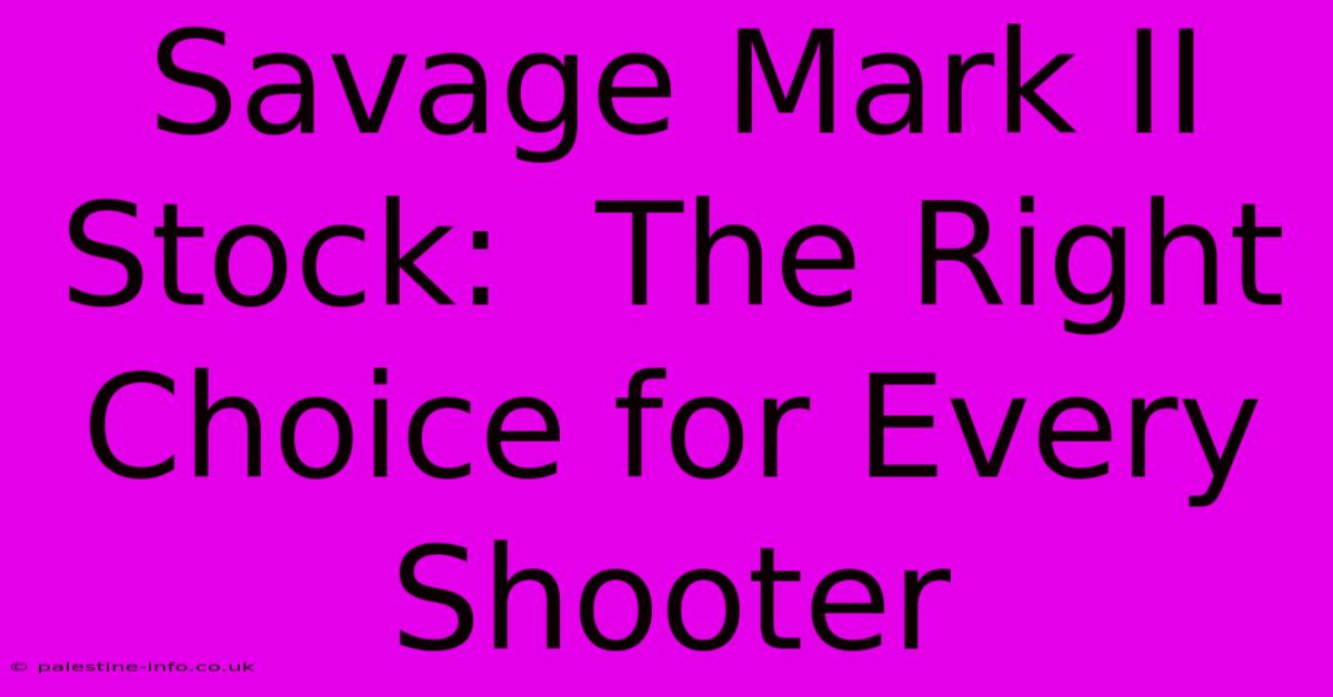 Savage Mark II Stock:  The Right Choice For Every Shooter