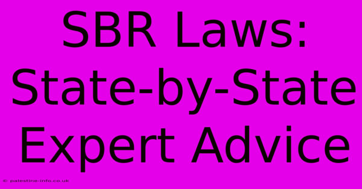 SBR Laws: State-by-State Expert Advice