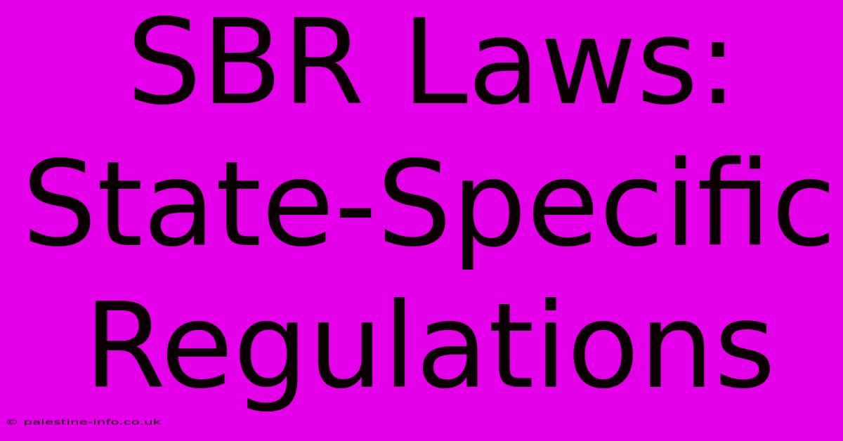 SBR Laws: State-Specific Regulations