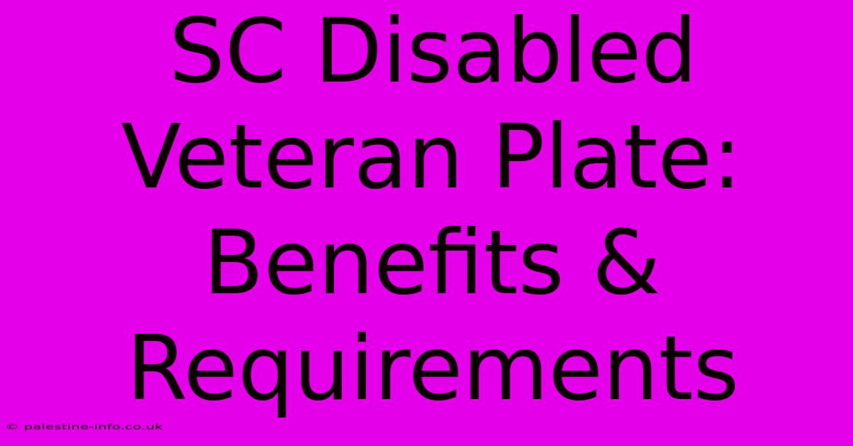 SC Disabled Veteran Plate:  Benefits & Requirements