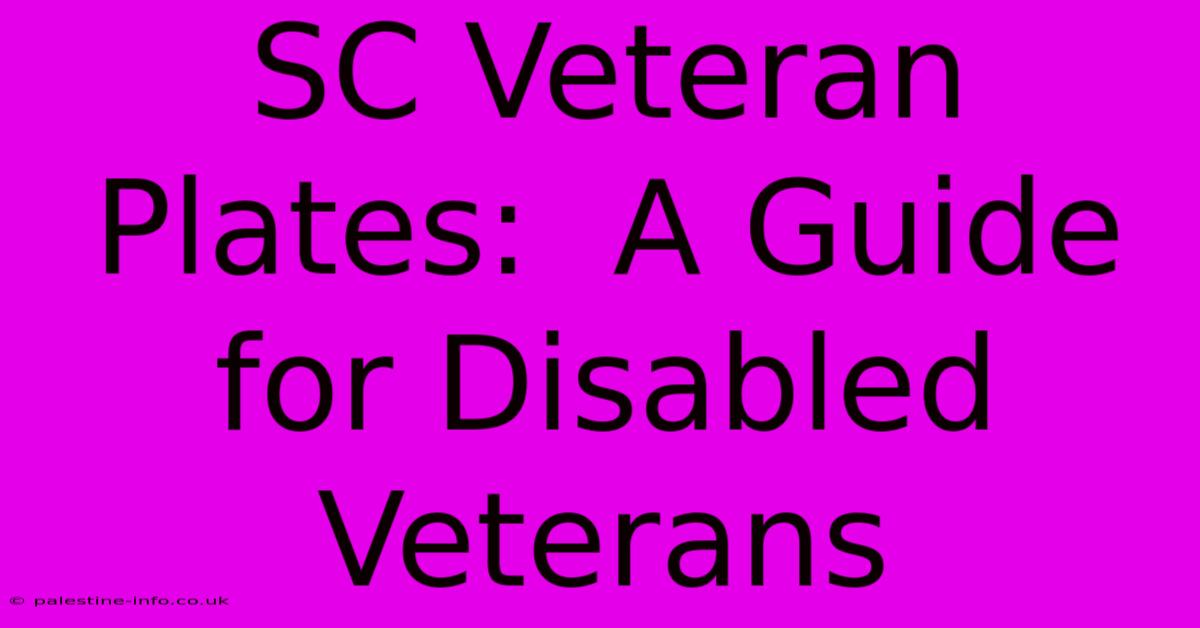 SC Veteran Plates:  A Guide For Disabled Veterans