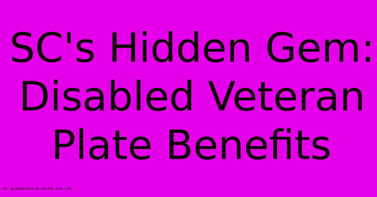 SC's Hidden Gem: Disabled Veteran Plate Benefits