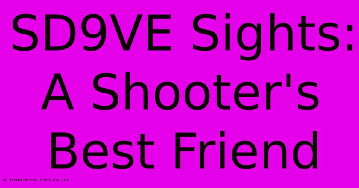 SD9VE Sights:  A Shooter's Best Friend