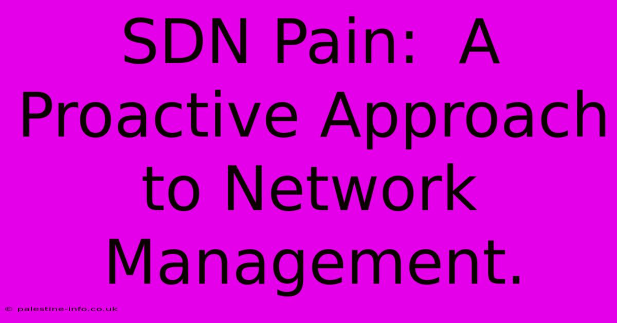 SDN Pain:  A Proactive Approach To Network Management.