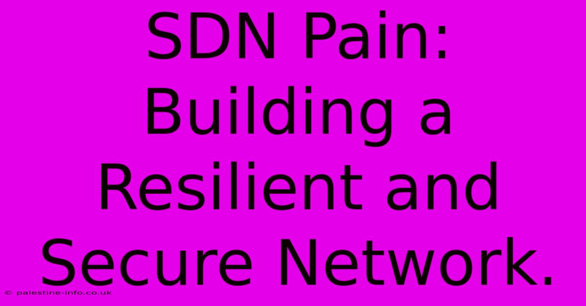 SDN Pain:  Building A Resilient And Secure Network.