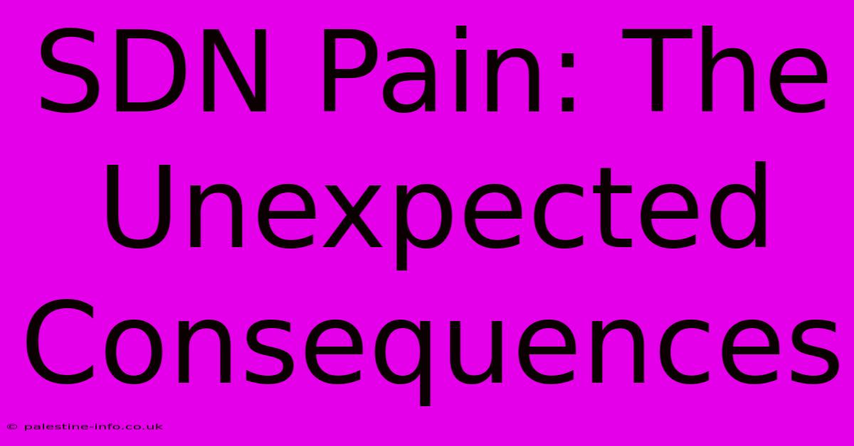 SDN Pain: The Unexpected Consequences