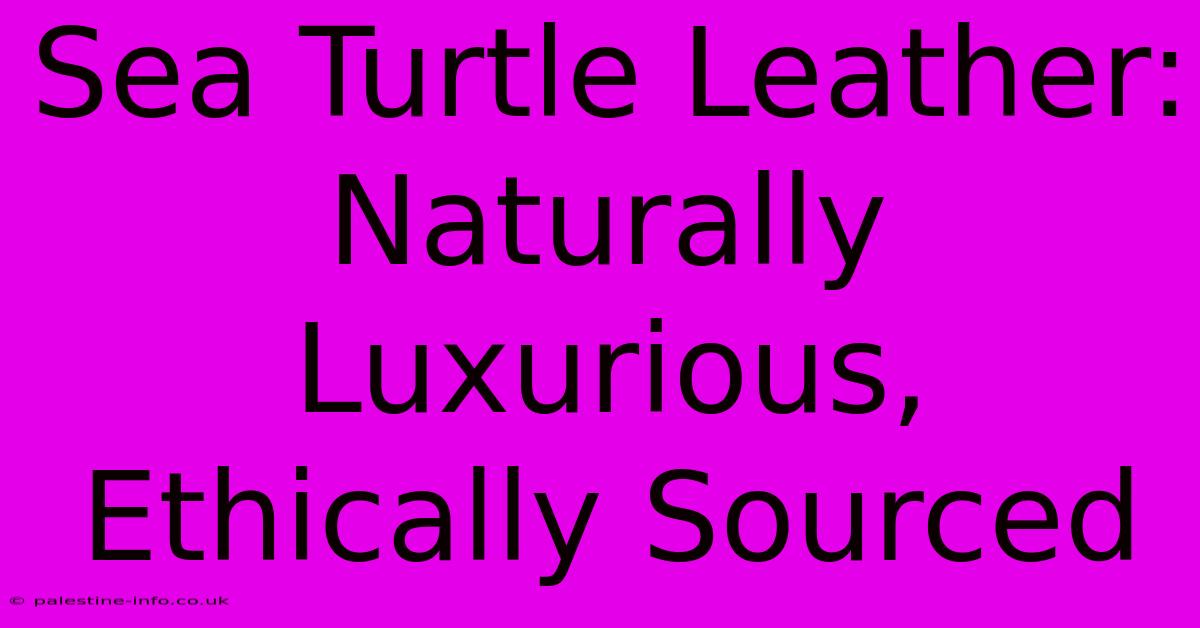 Sea Turtle Leather:  Naturally Luxurious, Ethically Sourced