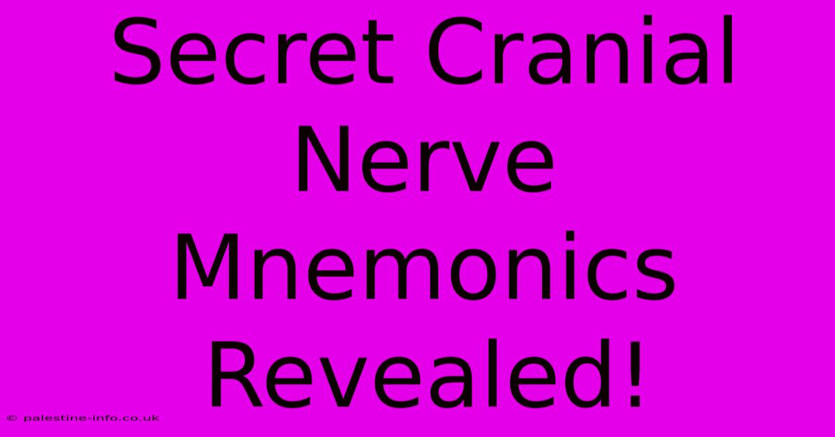 Secret Cranial Nerve Mnemonics Revealed!