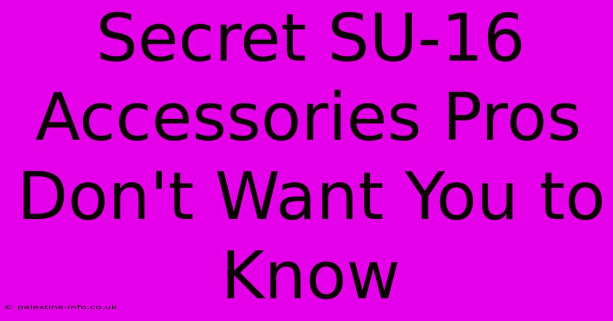 Secret SU-16 Accessories Pros Don't Want You To Know