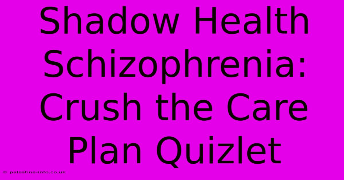 Shadow Health Schizophrenia: Crush The Care Plan Quizlet