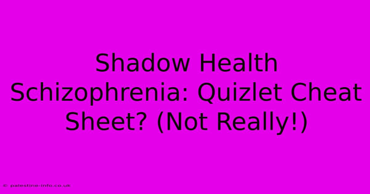 Shadow Health Schizophrenia: Quizlet Cheat Sheet? (Not Really!)