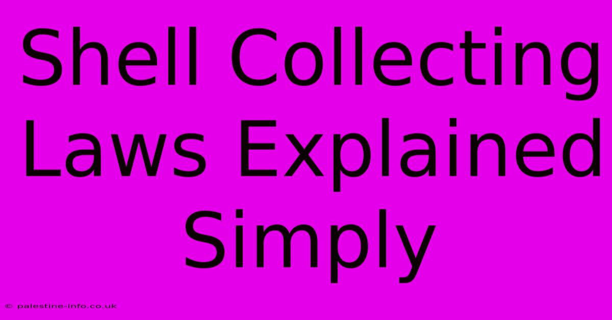 Shell Collecting Laws Explained Simply