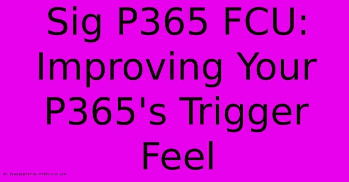 Sig P365 FCU:  Improving Your P365's Trigger Feel