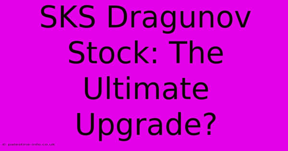 SKS Dragunov Stock: The Ultimate Upgrade?