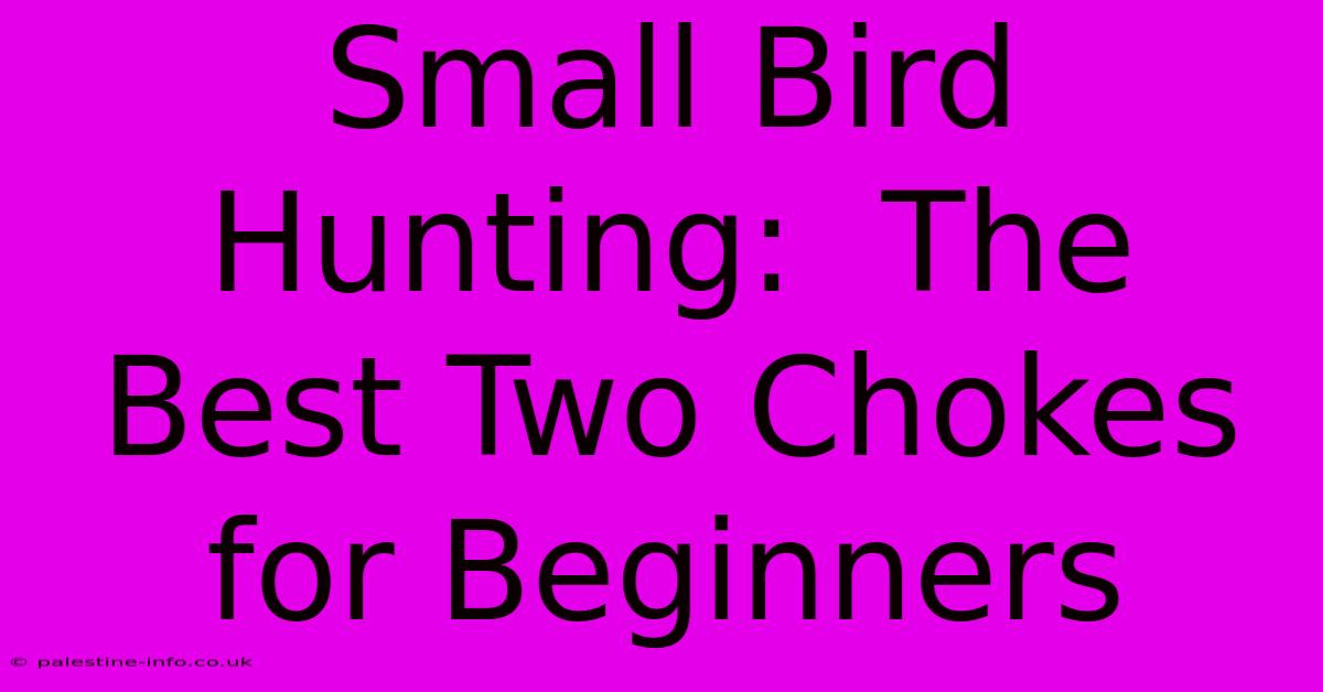 Small Bird Hunting:  The Best Two Chokes For Beginners