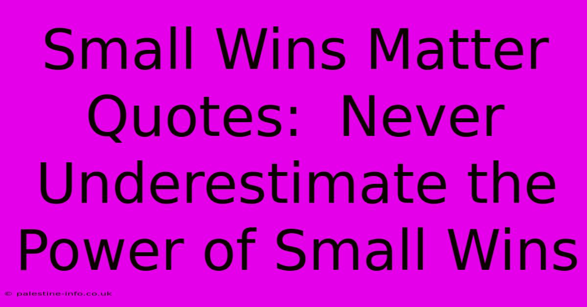 Small Wins Matter Quotes:  Never Underestimate The Power Of Small Wins