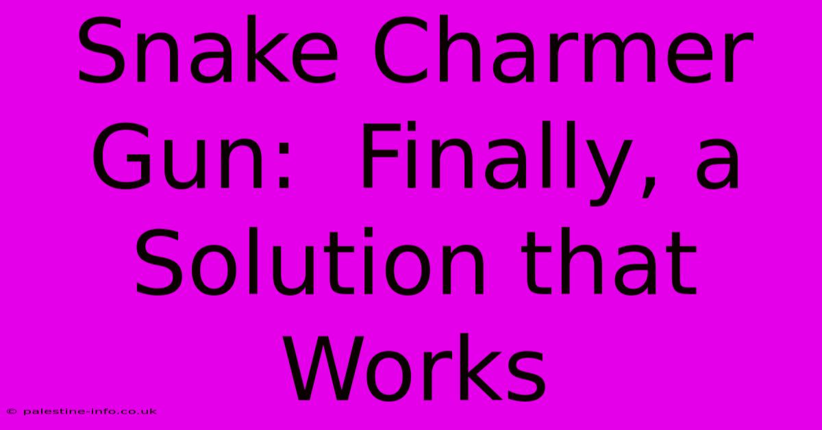 Snake Charmer Gun:  Finally, A Solution That Works