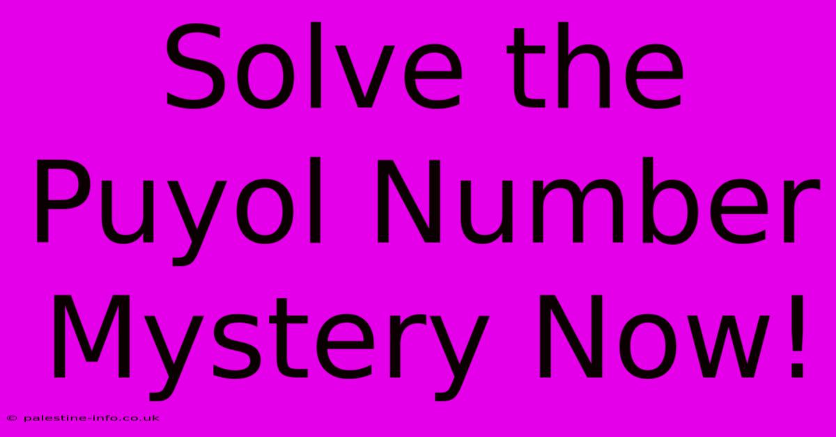 Solve The Puyol Number Mystery Now!