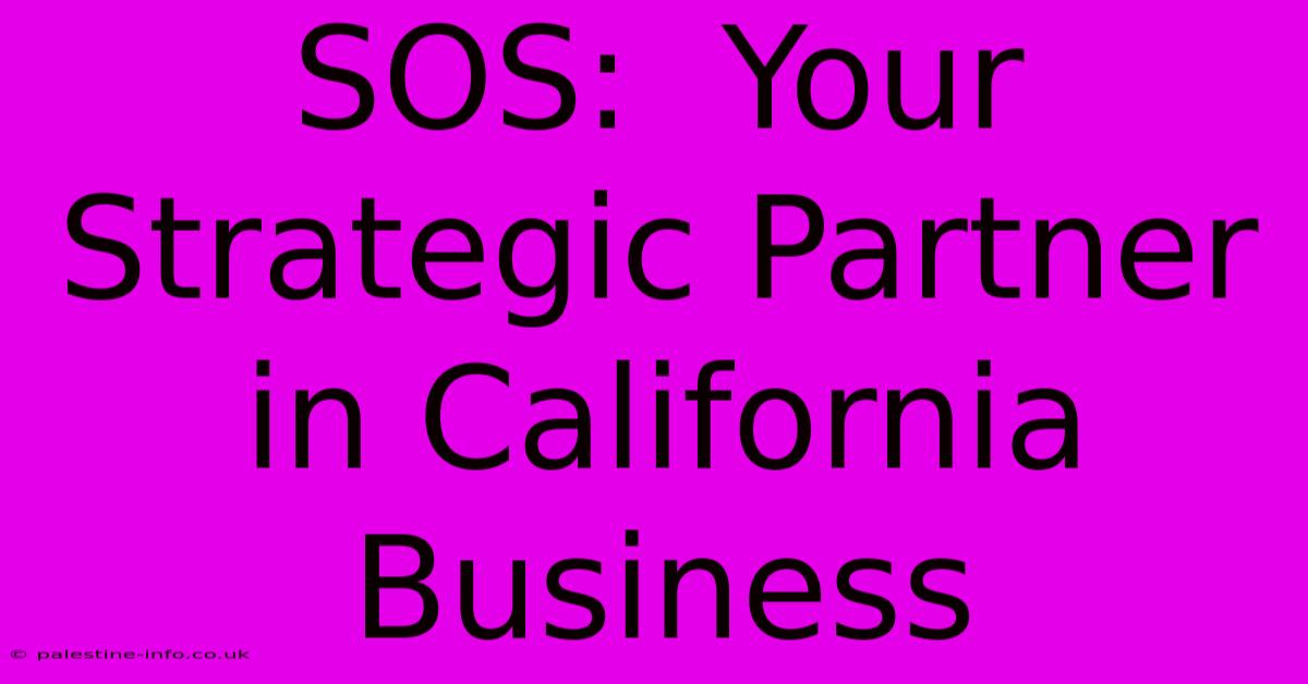 SOS:  Your Strategic Partner In California Business