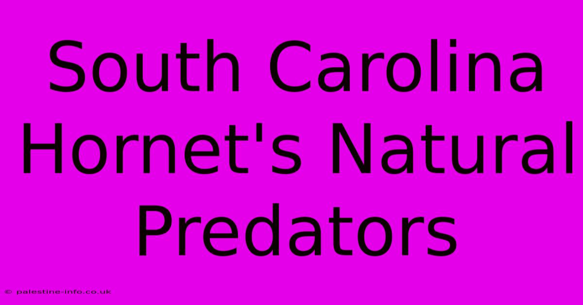 South Carolina Hornet's Natural Predators