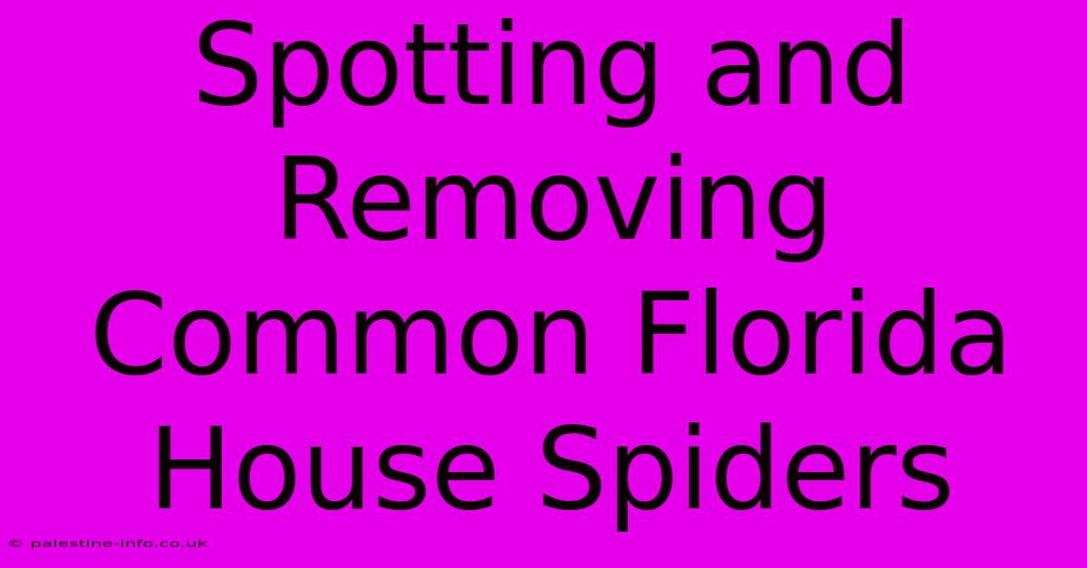 Spotting And Removing Common Florida House Spiders