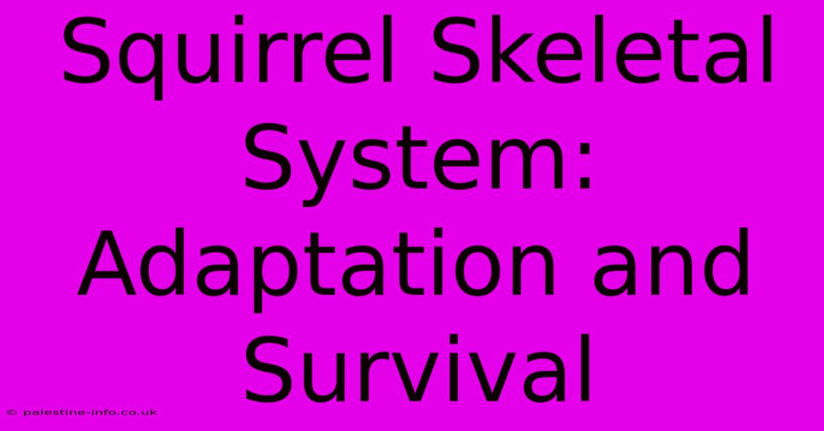 Squirrel Skeletal System: Adaptation And Survival