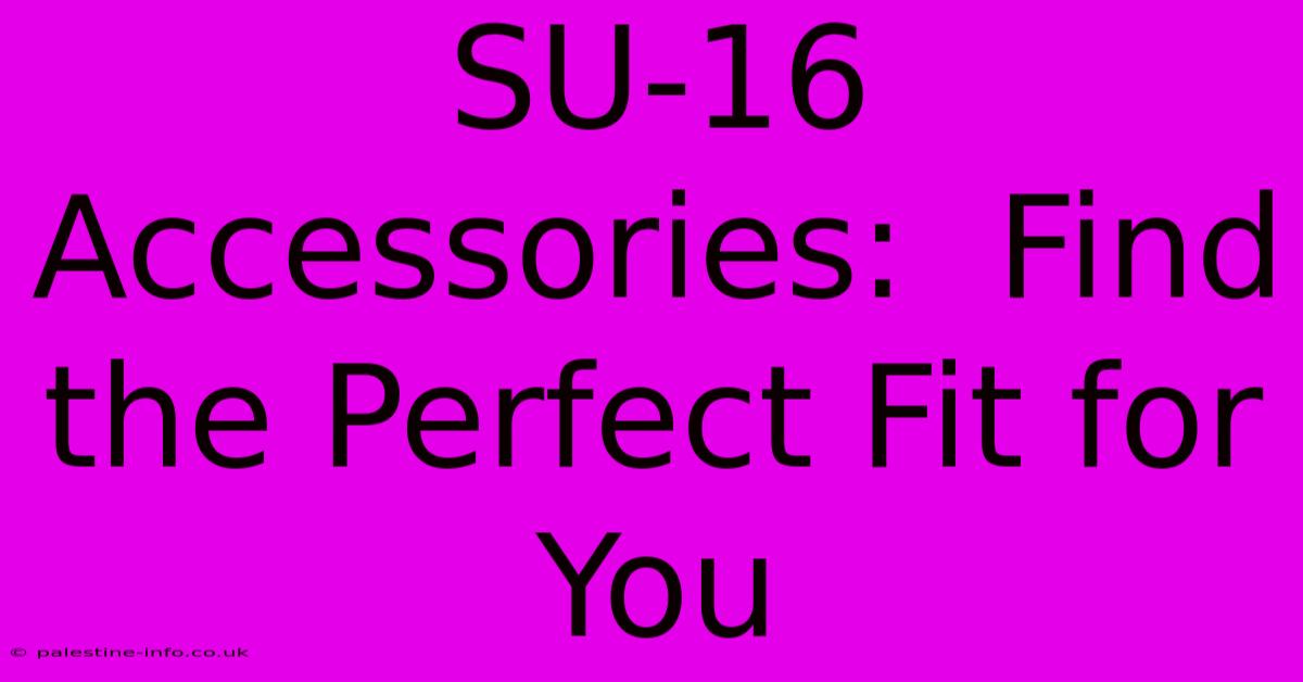 SU-16 Accessories:  Find The Perfect Fit For You