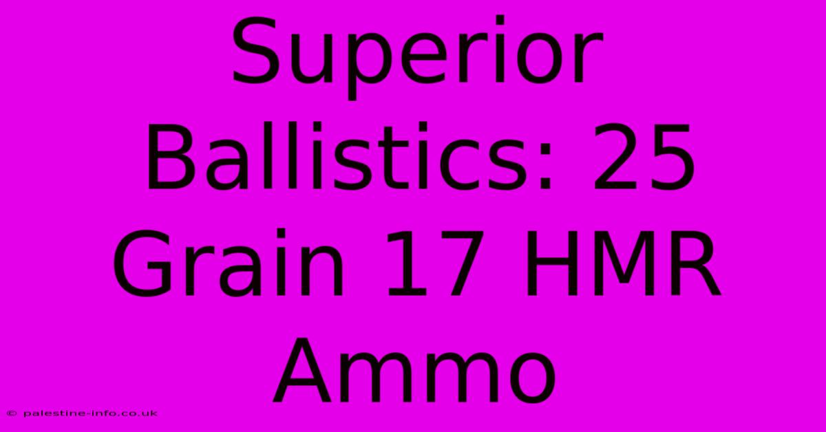 Superior Ballistics: 25 Grain 17 HMR Ammo