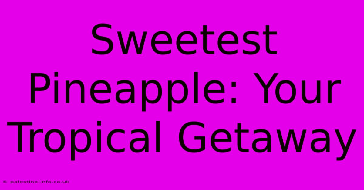 Sweetest Pineapple: Your Tropical Getaway