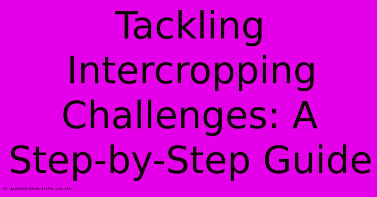 Tackling Intercropping Challenges: A Step-by-Step Guide