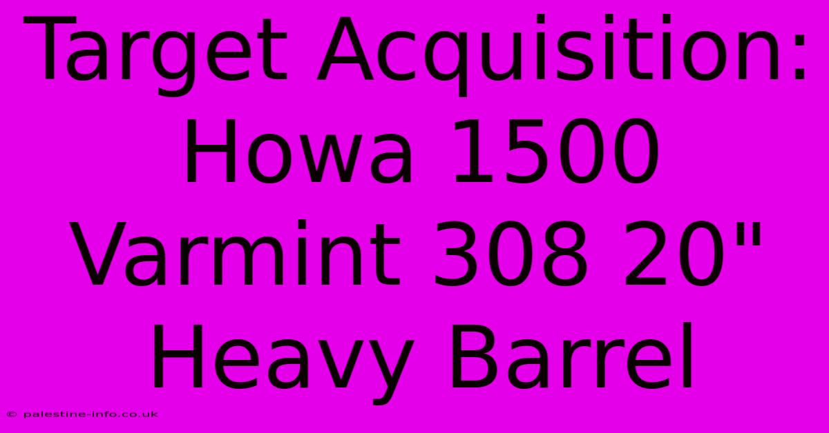 Target Acquisition: Howa 1500 Varmint 308 20