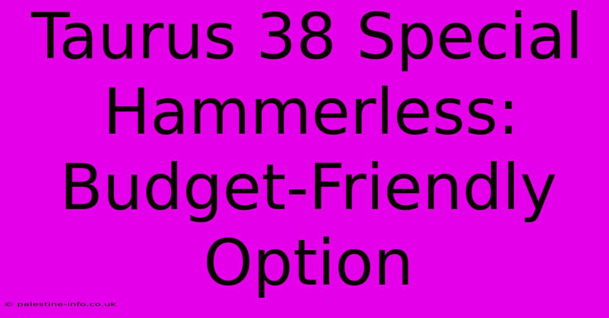 Taurus 38 Special Hammerless: Budget-Friendly Option